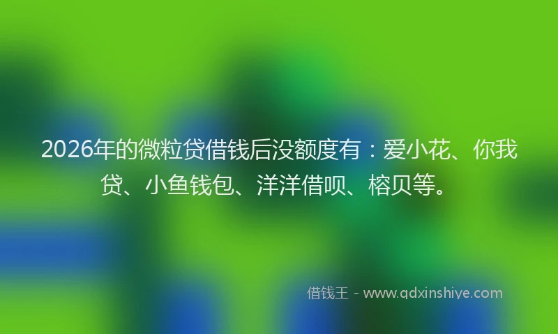 2026年的微粒贷借钱后没额度有：爱小花、你我贷、小鱼钱包、洋洋借呗、榕贝等。