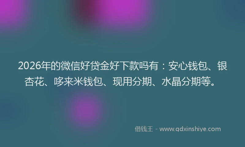 2026年的微信好贷金好下款吗有:安心钱包、银杏花、哆来米钱包、现用分期、水晶分期等。
