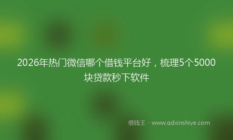 2026年热门微信哪个借钱平台好，梳理5个5000块贷款秒下软件