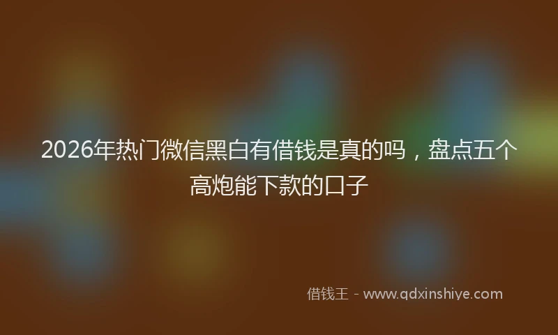2026年热门微信黑白有借钱是真的吗，盘点五个高炮能下款的口子