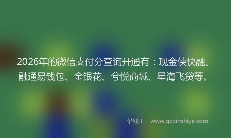 2026年的微信支付分查询开通有：现金侠快融、融通易钱包、金银花、兮悦商城、星海飞贷等。