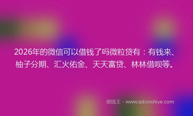2026年的微信可以借钱了吗微粒贷有：有钱来、柚子分期、汇火佑金、天天富贷、林林借呗等。