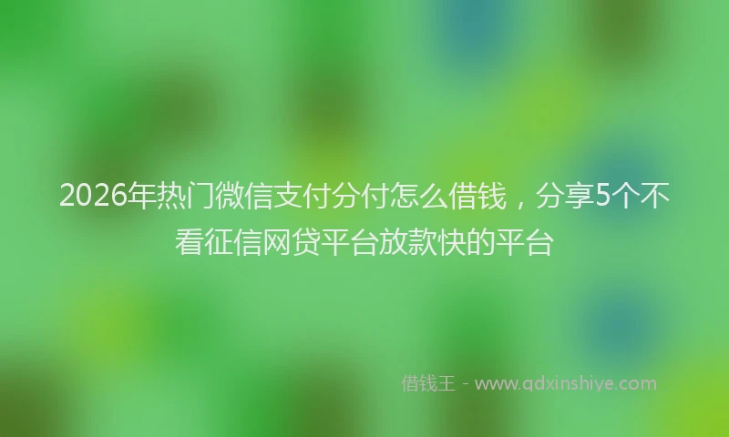 2026年热门微信支付分付怎么借钱,分享5个不看征信网贷平台放款快的平台