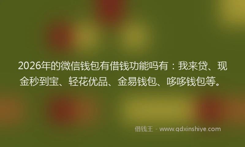 2026年的微信钱包有借钱功能吗有：我来贷、现金秒到宝、轻花优品、金易钱包、哆哆钱包等。