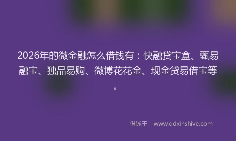 2026年的微金融怎么借钱有：快融贷宝盒、甄易融宝、独品易购、微博花花金、现金贷易借宝等。