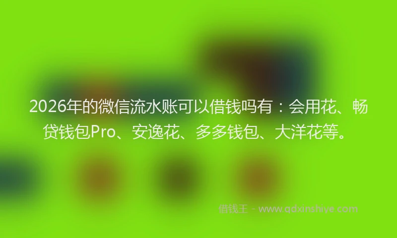 2026年的微信流水账可以借钱吗有:会用花、畅贷钱包Pro、安逸花、多多钱包、大洋花等。