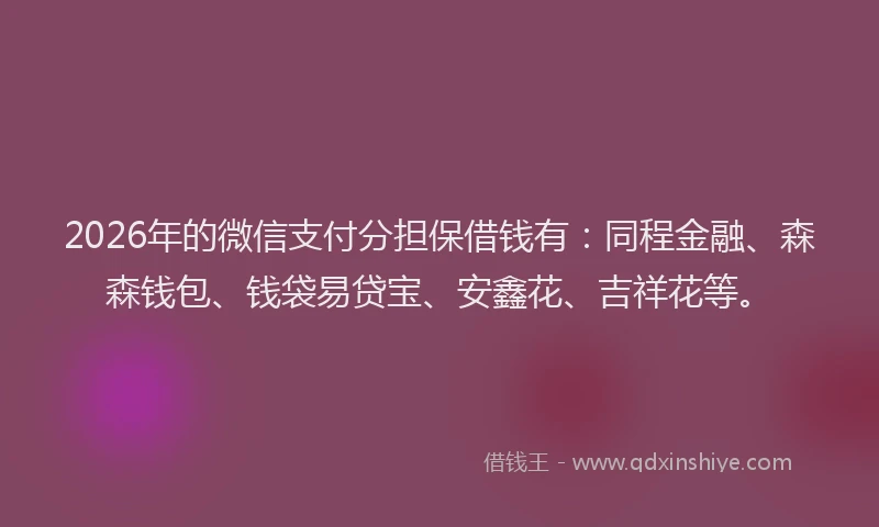 2026年的微信支付分担保借钱有：同程金融、森森钱包、钱袋易贷宝、安鑫花、吉祥花等。