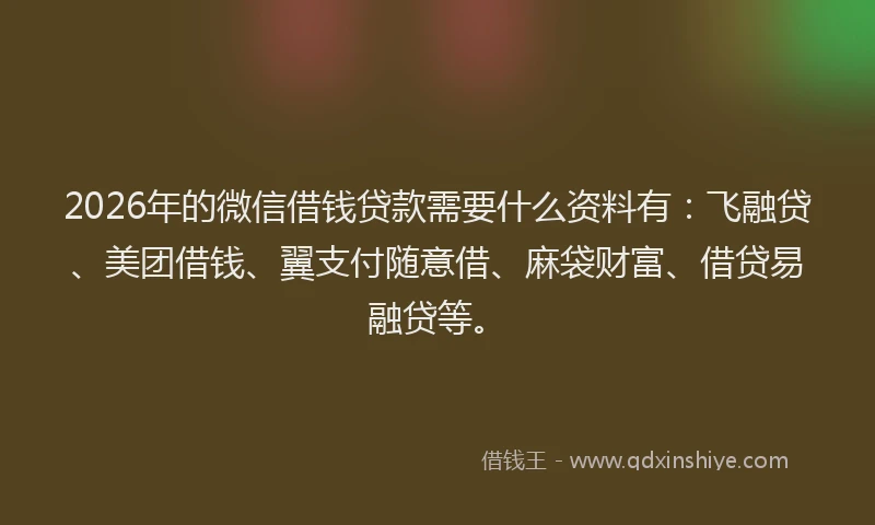2026年的微信借钱贷款需要什么资料有:飞融贷、美团借钱、翼支付随意借、麻袋财富、借贷易融贷等。