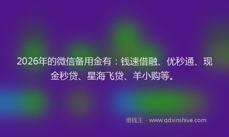 2026年的微信备用金有：钱速借融、优秒通、现金秒贷、星海飞贷、羊小购等。