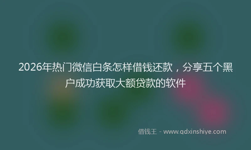 2026年热门微信白条怎样借钱还款，分享五个黑户成功获取大额贷款的软件