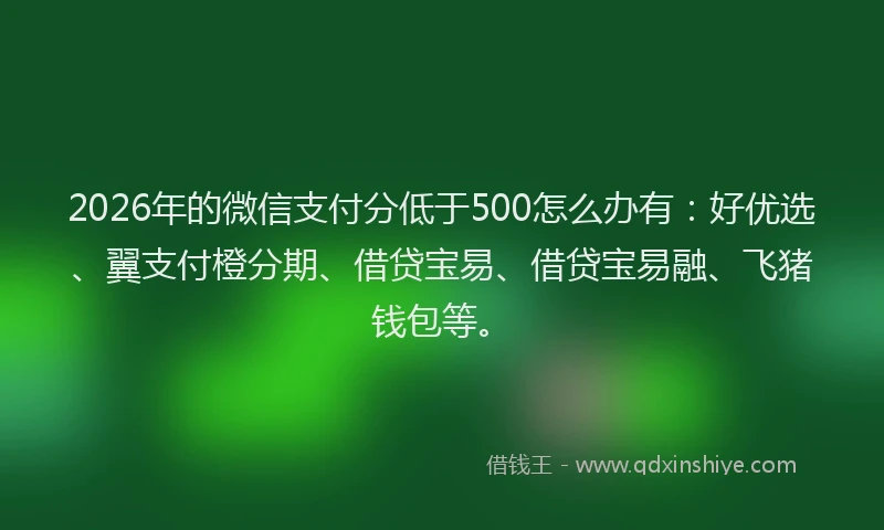 2026年的微信支付分低于500怎么办有：好优选、翼支付橙分期、借贷宝易、借贷宝易融、飞猪钱包等。