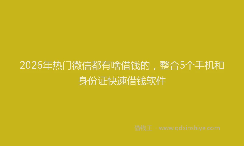 2026年热门微信都有啥借钱的，整合5个手机和身份证快速借钱软件