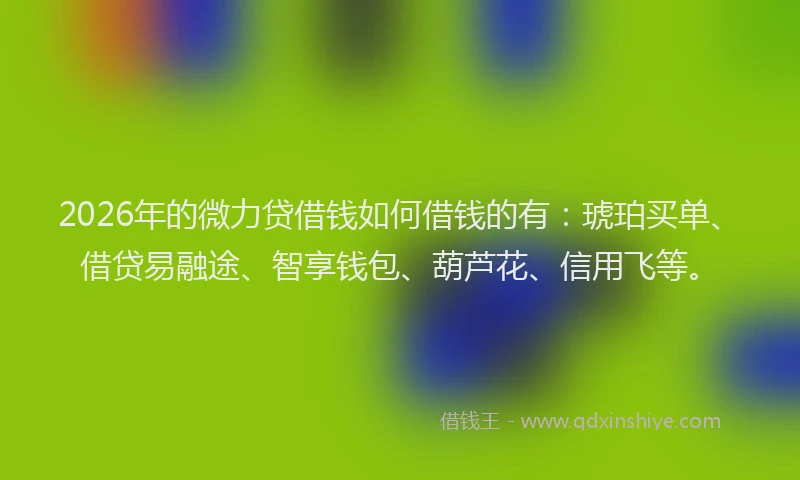 2026年的微力贷借钱如何借钱的有：琥珀买单、借贷易融途、智享钱包、葫芦花、信用飞等。