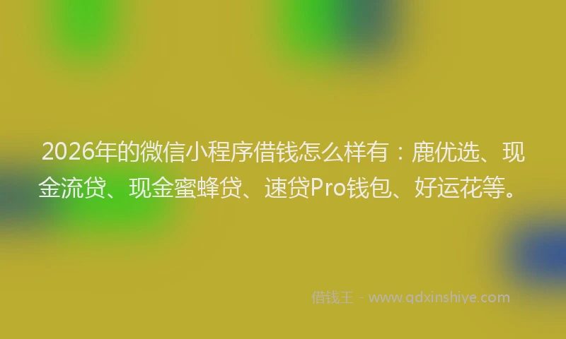 2026年的微信小程序借钱怎么样有:鹿优选、现金流贷、现金蜜蜂贷、速贷Pro钱包、好运花等。