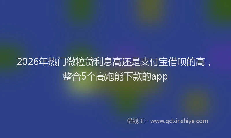 2026年热门微粒贷利息高还是支付宝借呗的高，整合5个高炮能下款的app
