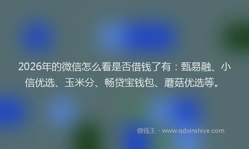 2026年的微信怎么看是否借钱了有：甄易融、小信优选、玉米分、畅贷宝钱包、蘑菇优选等。