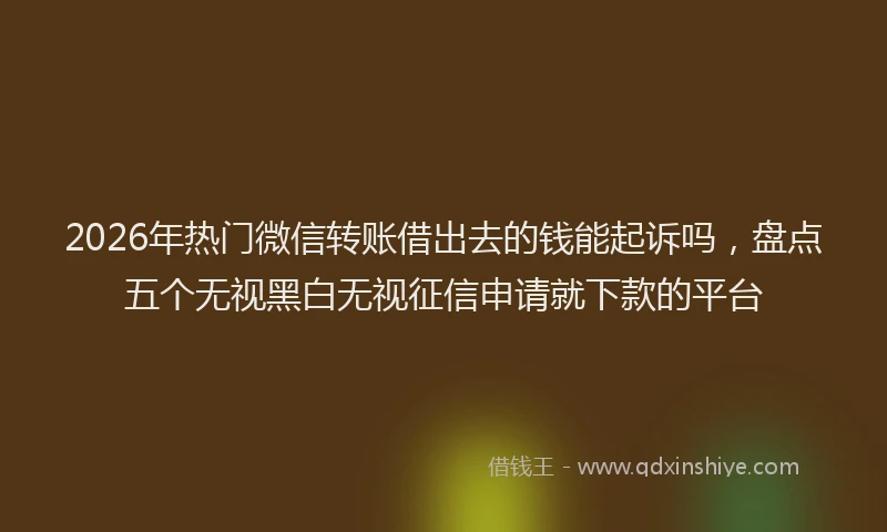 2026年热门微信转账借出去的钱能起诉吗，盘点五个无视黑白无视征信申请就下款的平台