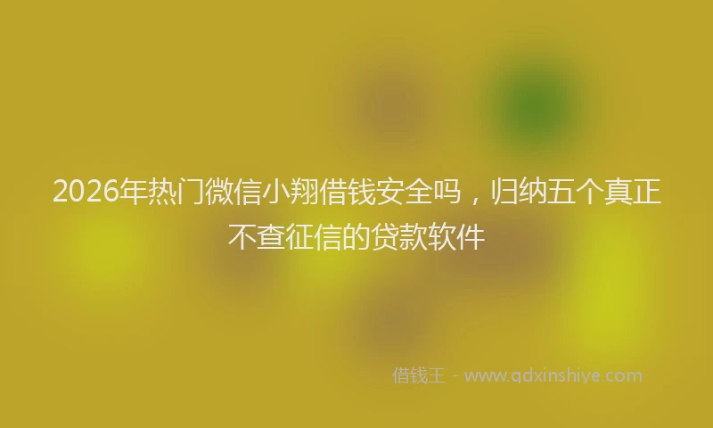 2026年热门微信小翔借钱安全吗，归纳五个真正不查征信的贷款软件