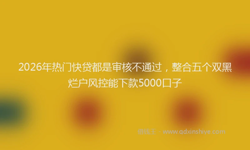 2026年热门快贷都是审核不通过,整合五个双黑烂户风控能下款5000口子