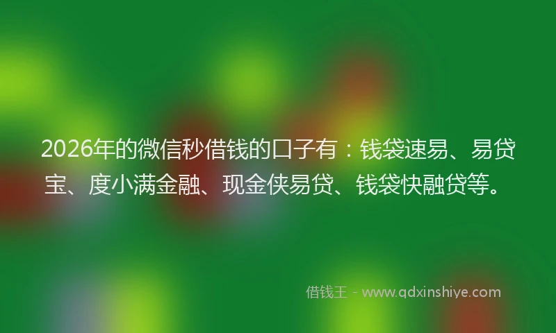 2026年的微信秒借钱的口子有:钱袋速易、易贷宝、度小满金融、现金侠易贷、钱袋快融贷等。
