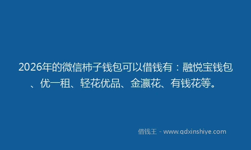 2026年的微信柿子钱包可以借钱有：融悦宝钱包、优一租、轻花优品、金瀛花、有钱花等。