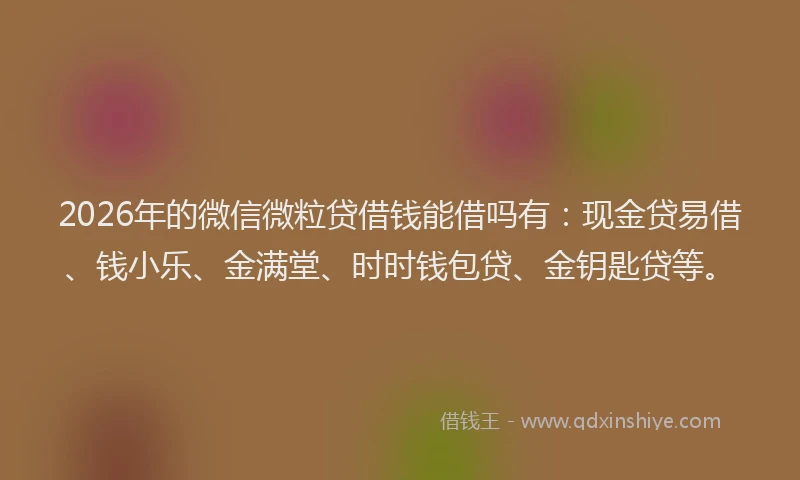 2026年的微信微粒贷借钱能借吗有：现金贷易借、钱小乐、金满堂、时时钱包贷、金钥匙贷等。