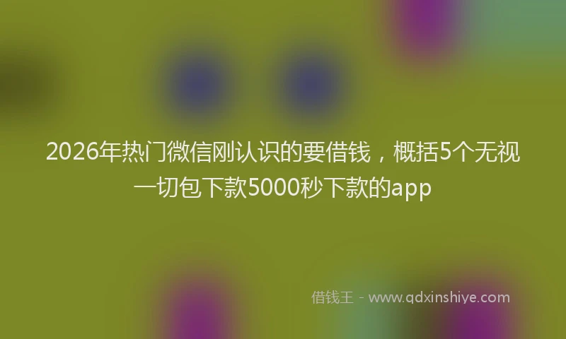 2026年热门微信刚认识的要借钱，概括5个无视一切包下款5000秒下款的app