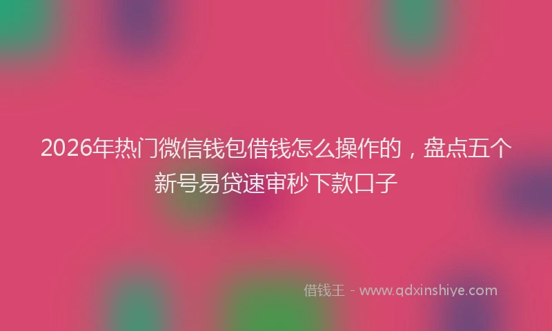 2026年热门微信钱包借钱怎么操作的，盘点五个新号易贷速审秒下款口子