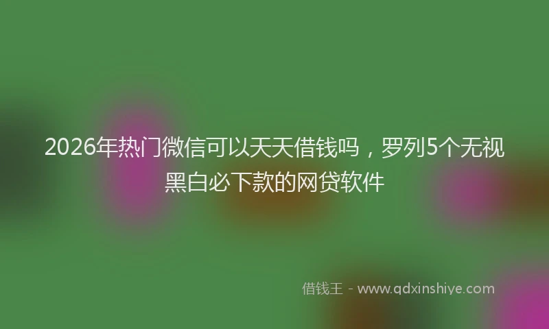2026年热门微信可以天天借钱吗，罗列5个无视黑白必下款的网贷软件