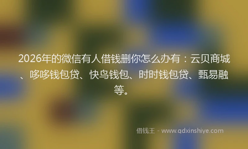 2026年的微信有人借钱删你怎么办有：云贝商城、哆哆钱包贷、快鸟钱包、时时钱包贷、甄易融等。
