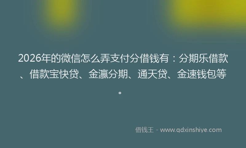 2026年的微信怎么弄支付分借钱有:分期乐借款、借款宝快贷、金瀛分期、通天贷、金速钱包等。