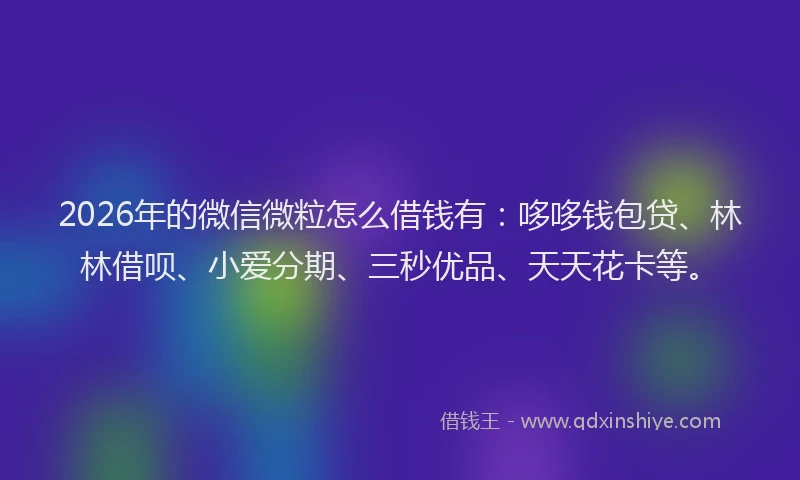 2026年的微信微粒怎么借钱有：哆哆钱包贷、林林借呗、小爱分期、三秒优品、天天花卡等。
