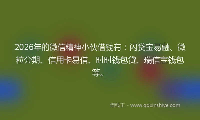 2026年的微信精神小伙借钱有：闪贷宝易融、微粒分期、信用卡易借、时时钱包贷、瑞信宝钱包等。