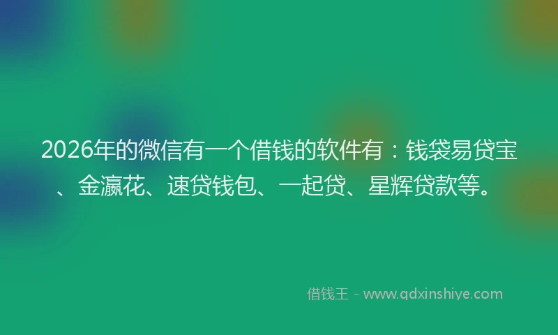 2026年的微信有一个借钱的软件有：钱袋易贷宝、金瀛花、速贷钱包、一起贷、星辉贷款等。