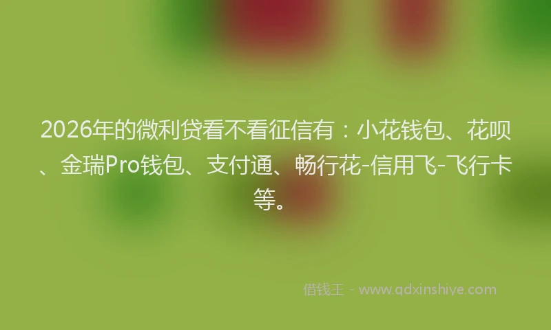 2026年的微利贷看不看征信有：小花钱包、花呗、金瑞Pro钱包、支付通、畅行花-信用飞-飞行卡等。