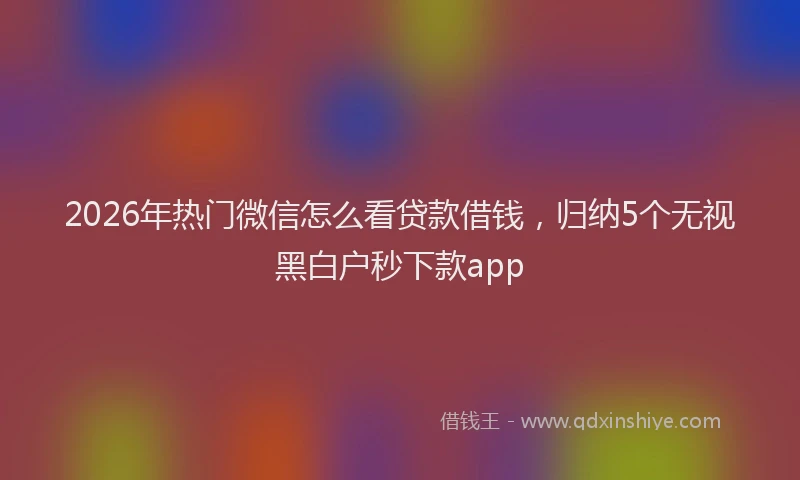 2026年热门微信怎么看贷款借钱，归纳5个无视黑白户秒下款app