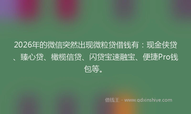 2026年的微信突然出现微粒贷借钱有：现金侠贷、臻心贷、橄榄信贷、闪贷宝速融宝、便捷Pro钱包等。