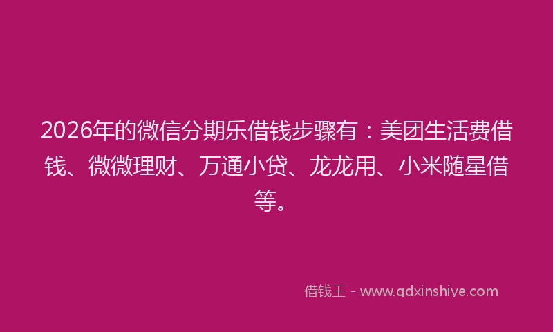 2026年的微信分期乐借钱步骤有：美团生活费借钱、微微理财、万通小贷、龙龙用、小米随星借等。
