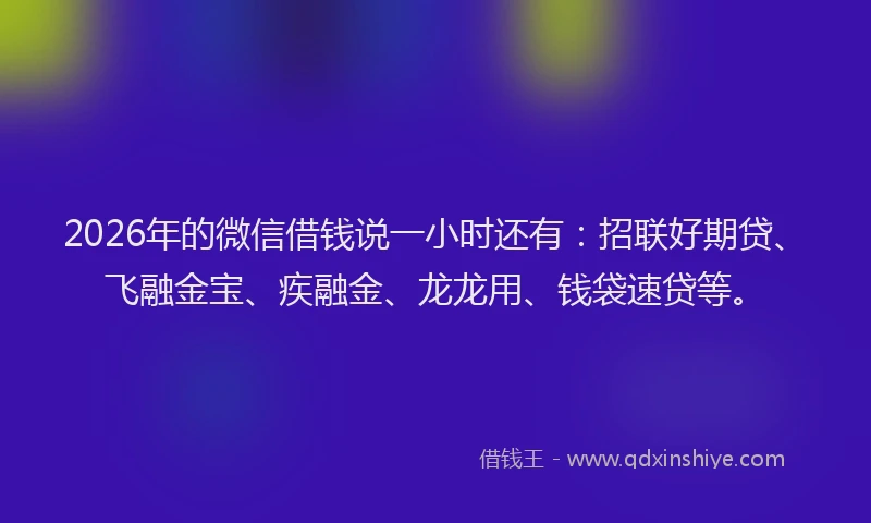 2026年的微信借钱说一小时还有：招联好期贷、飞融金宝、疾融金、龙龙用、钱袋速贷等。