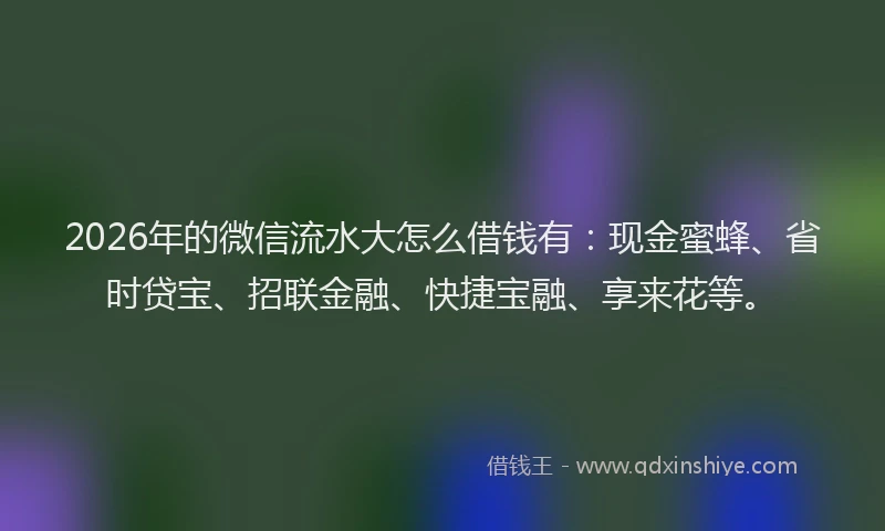 2026年的微信流水大怎么借钱有：现金蜜蜂、省时贷宝、招联金融、快捷宝融、享来花等。