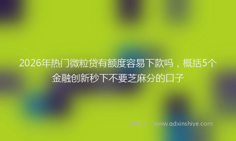 2026年热门微粒贷有额度容易下款吗，概括5个金融创新秒下不要芝麻分的口子