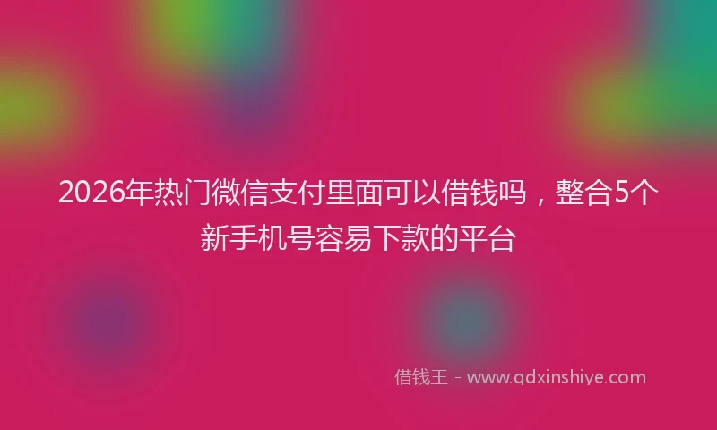2026年热门微信支付里面可以借钱吗，整合5个新手机号容易下款的平台