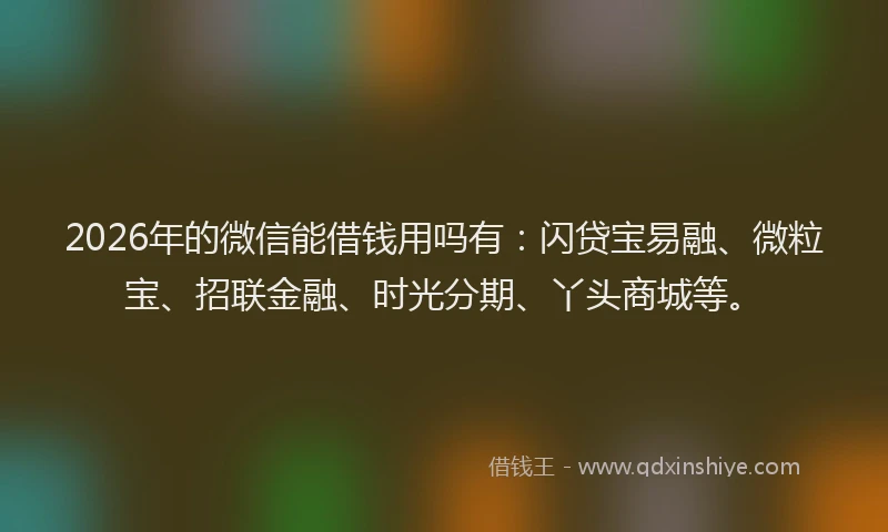 2026年的微信能借钱用吗有：闪贷宝易融、微粒宝、招联金融、时光分期、丫头商城等。