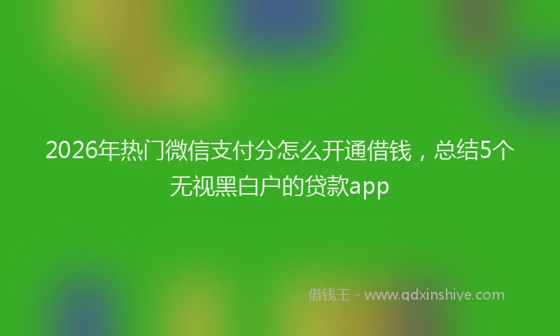 2026年热门微信支付分怎么开通借钱，总结5个无视黑白户的贷款app