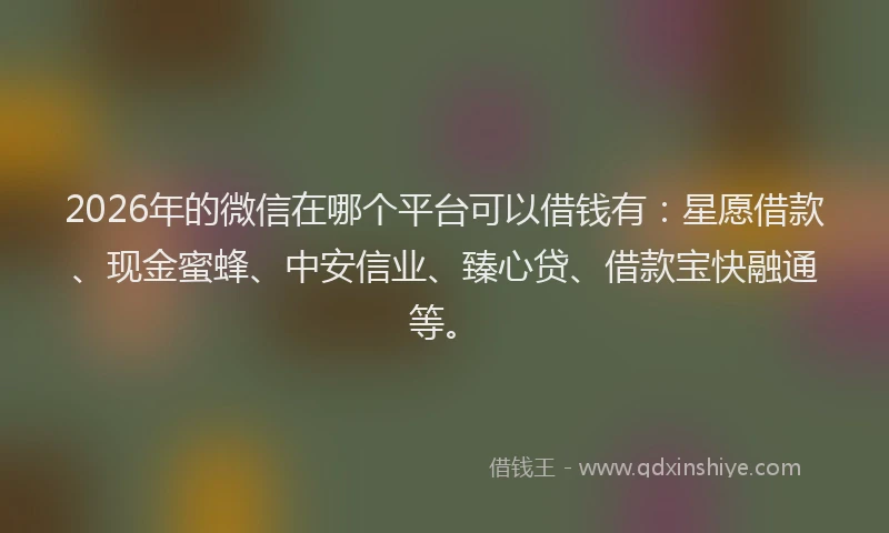 2026年的微信在哪个平台可以借钱有：星愿借款、现金蜜蜂、中安信业、臻心贷、借款宝快融通等。