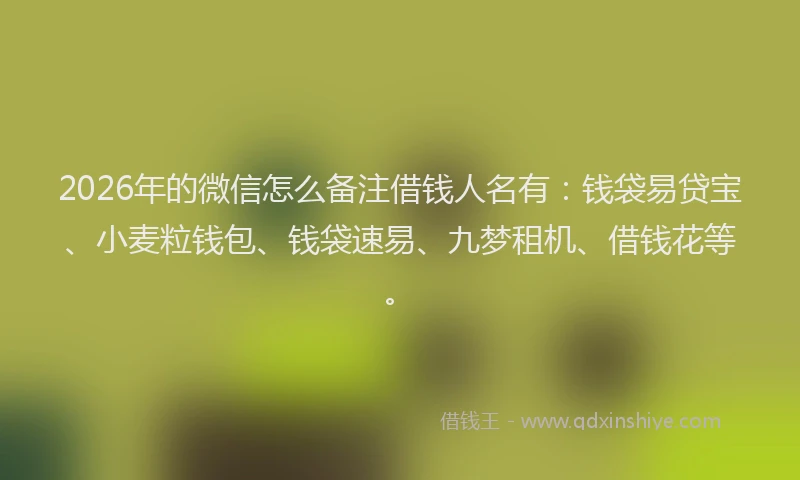 2026年的微信怎么备注借钱人名有：钱袋易贷宝、小麦粒钱包、钱袋速易、九梦租机、借钱花等。