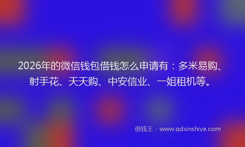 2026年的微信钱包借钱怎么申请有：多米易购、射手花、天天购、中安信业、一姐租机等。