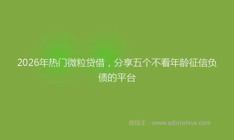 2026年热门微粒贷借，分享五个不看年龄征信负债的平台