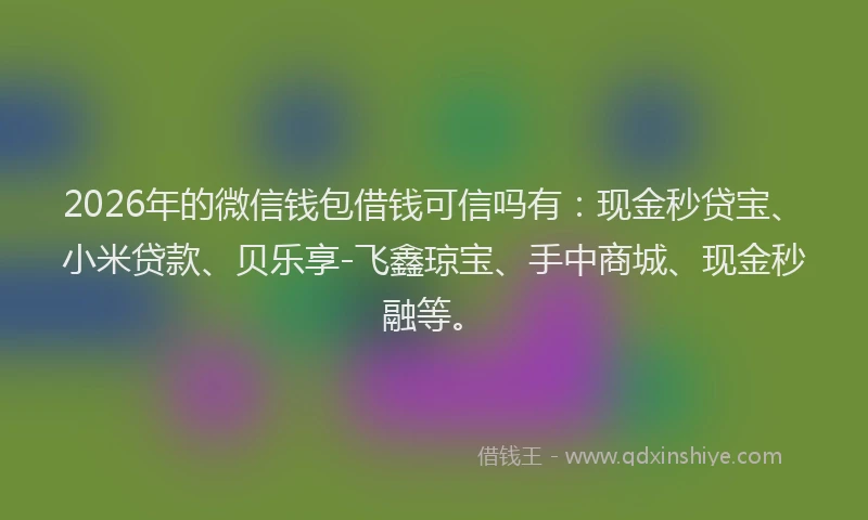 2026年的微信钱包借钱可信吗有：现金秒贷宝、小米贷款、贝乐享-飞鑫琼宝、手中商城、现金秒融等。