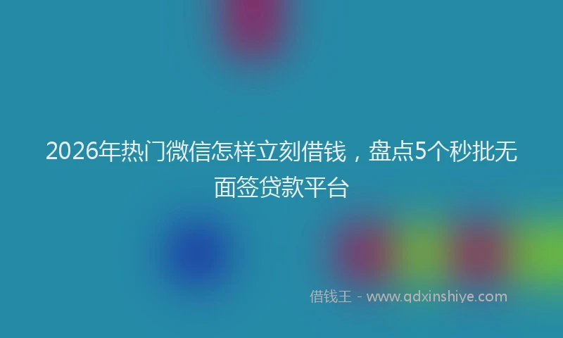 2026年热门微信怎样立刻借钱，盘点5个秒批无面签贷款平台